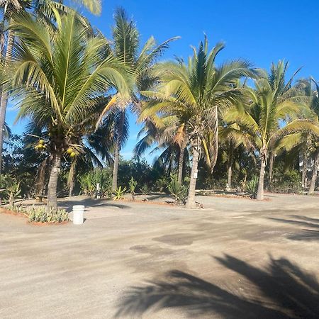 Bungalows Laguna Del Tule サン・パトリシオ・メラケ エクステリア 写真