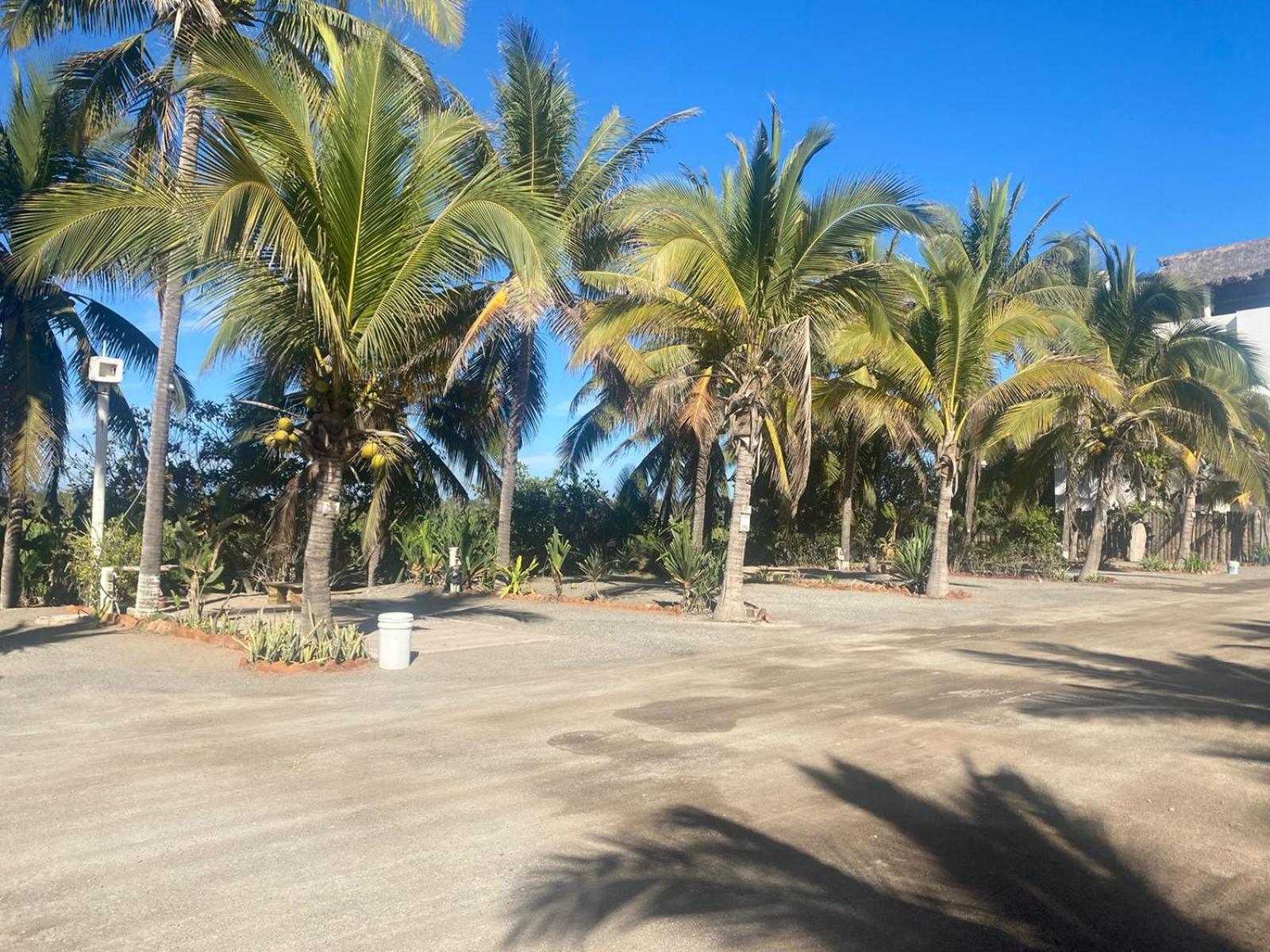Bungalows Laguna Del Tule サン・パトリシオ・メラケ エクステリア 写真